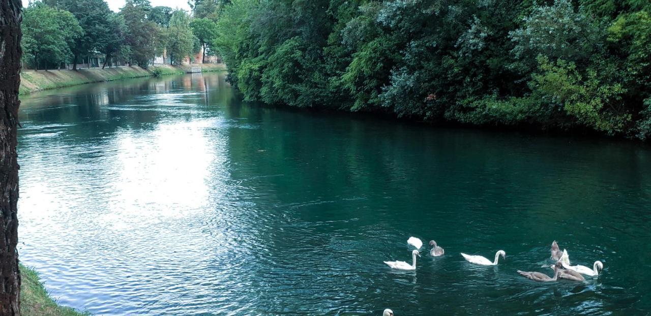 Ampio Appartamento Vicino Al Centro Di Treviso, Parcheggio Gratuito Εξωτερικό φωτογραφία